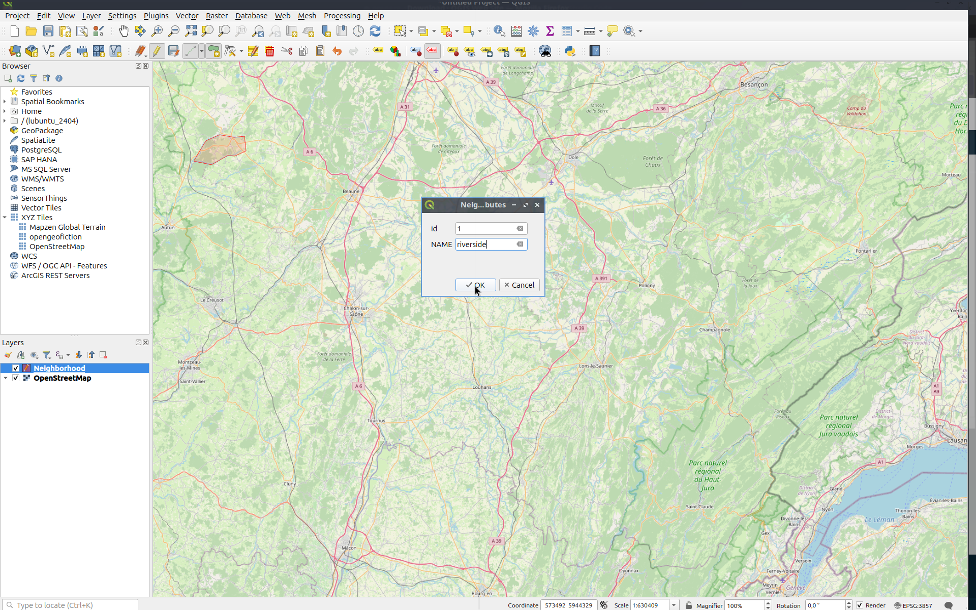 Add any unique value to the id field, and label your shape by entering the NAME metadata